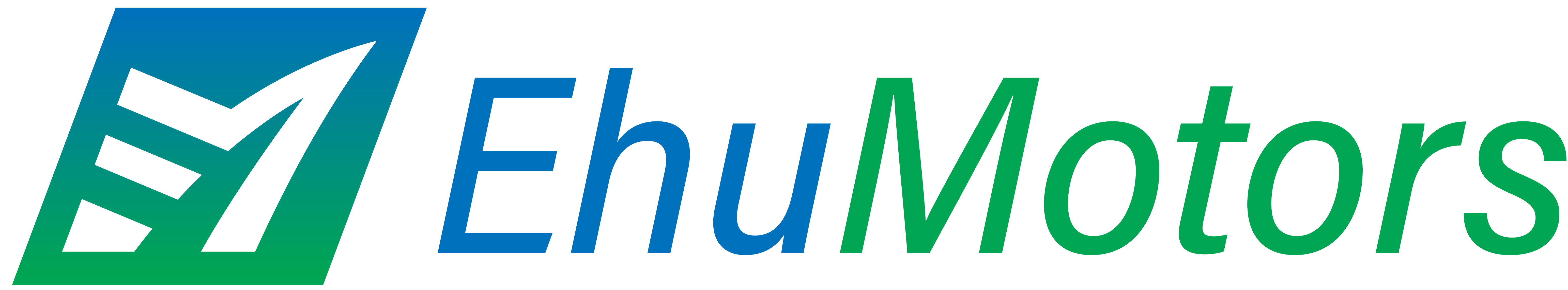 logo_ehumotor